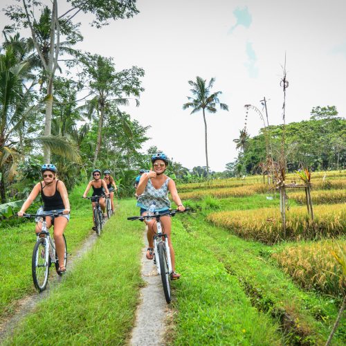 Cycling in Bali