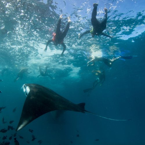 Snorkeling Nusa Penida