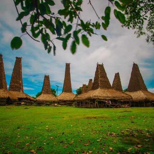 Sumba Traditional Village