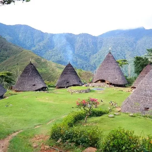 Waerebo Village Flores