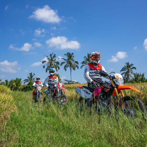 Bali Motocross